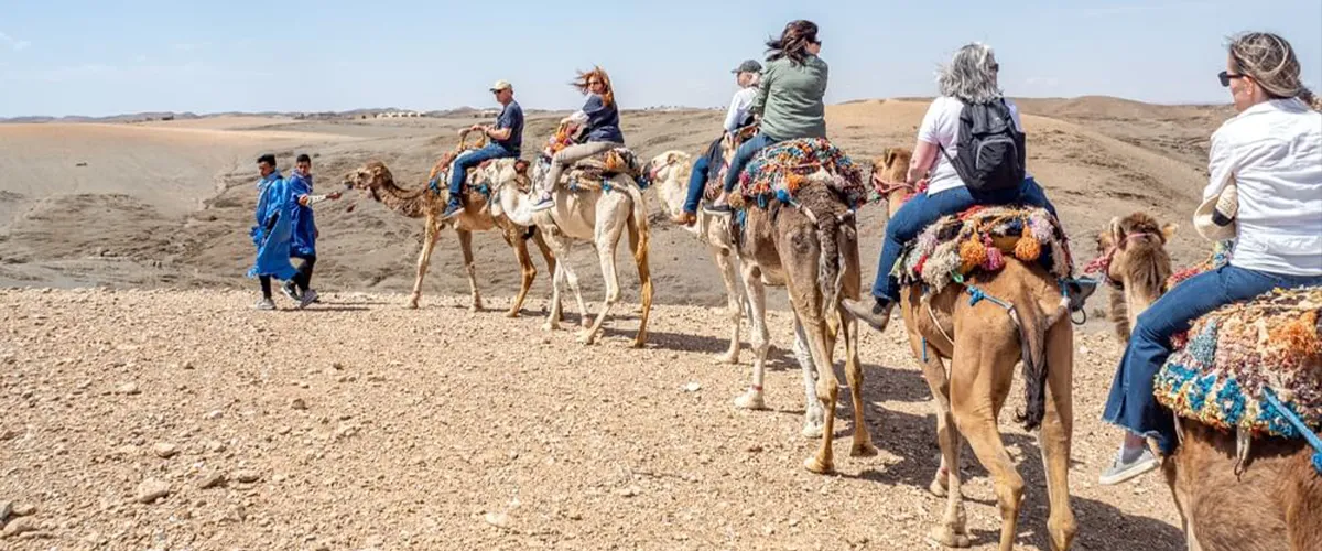 Camel Caravan