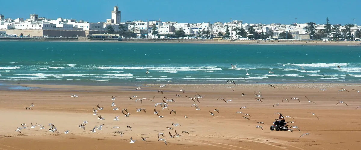 Essaouira Beach